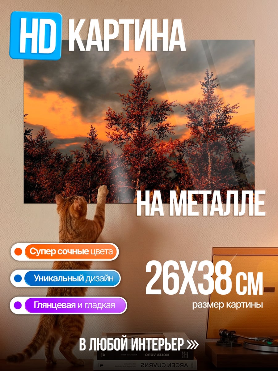 Картина на металле Лес на закате