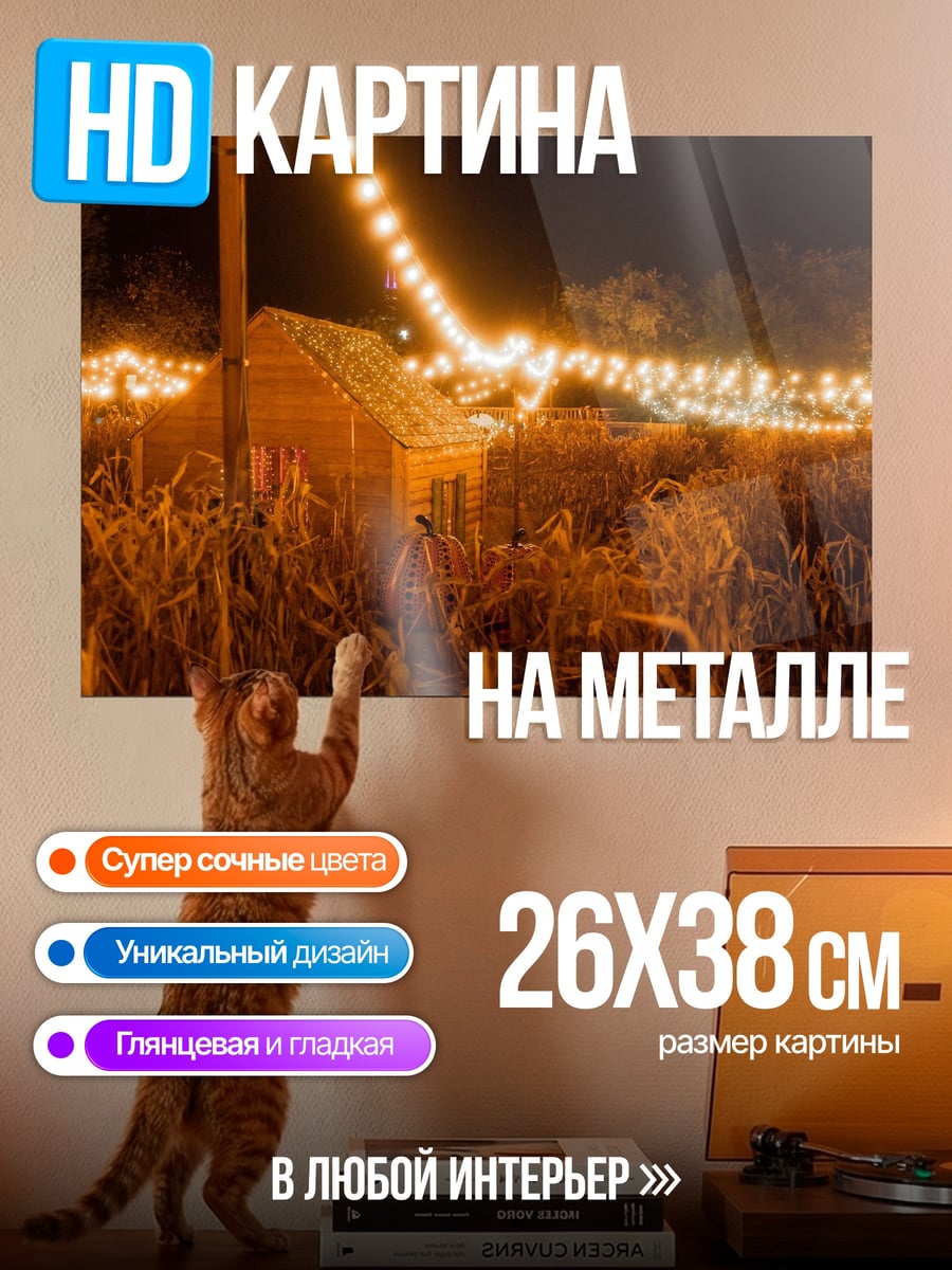 Картина на металле Ночной кукурузник