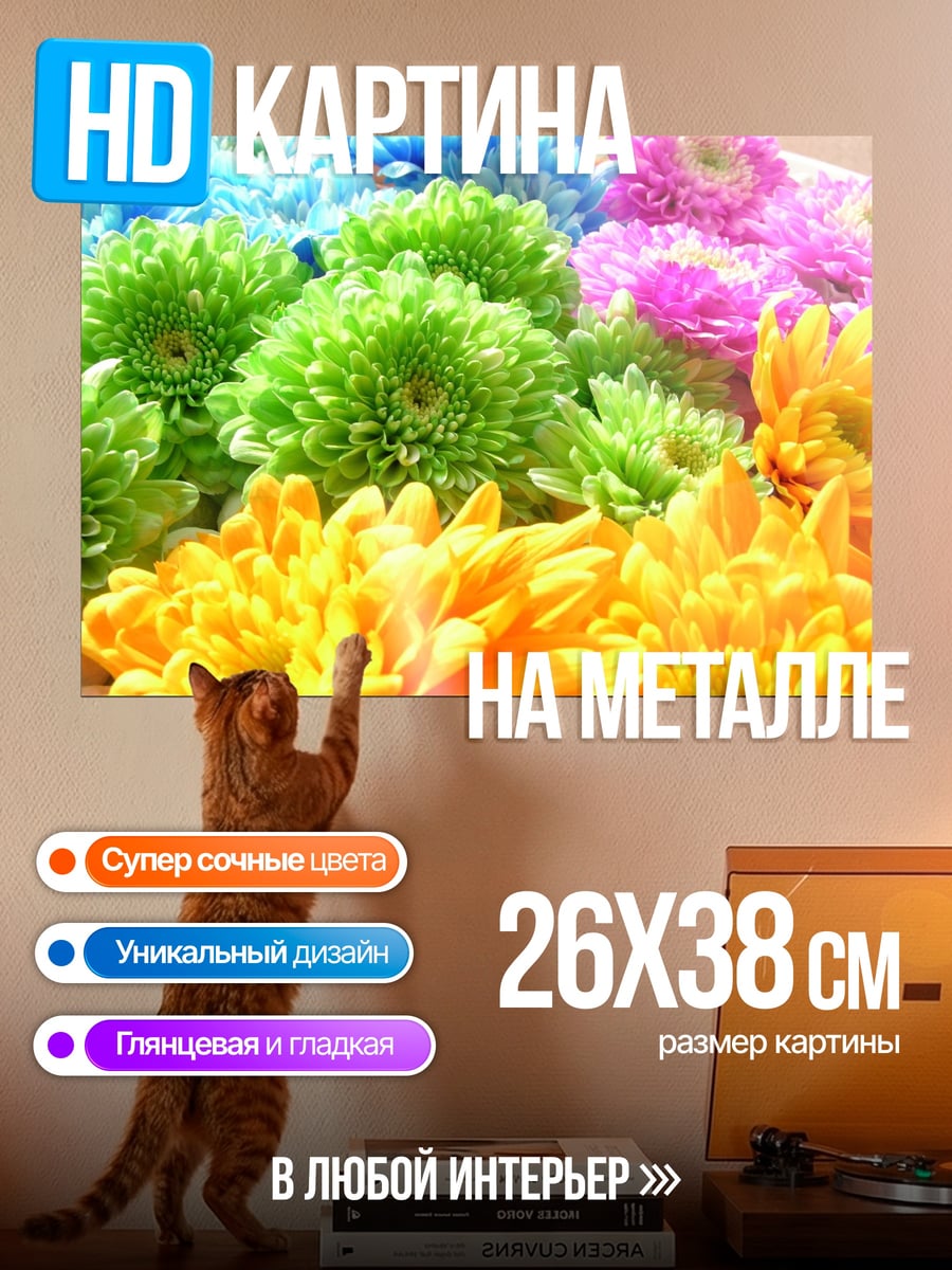 Картина на металле яркие хризантемы в саду