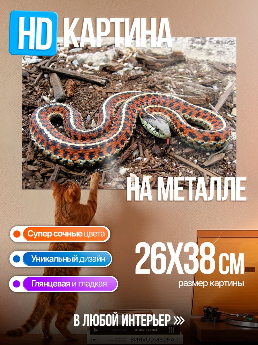 Картина на металле Полосатая змея на земле