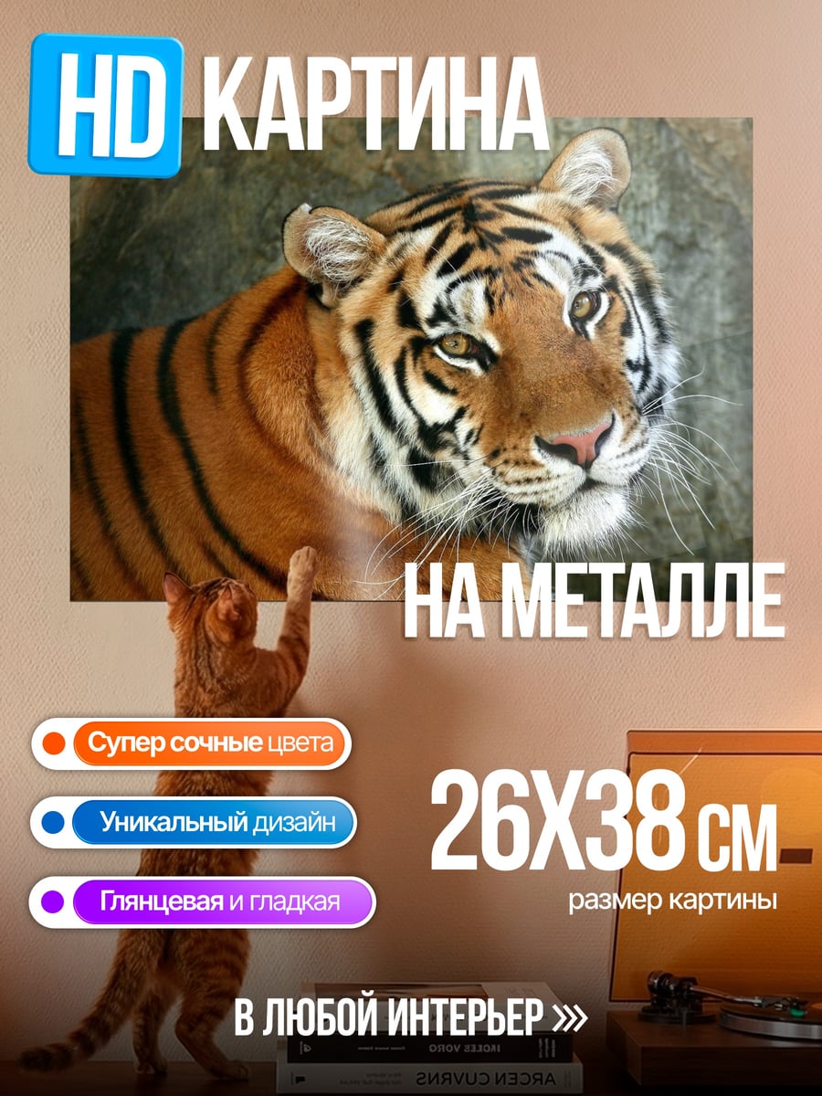 Картина на металле Тигр в джунглях