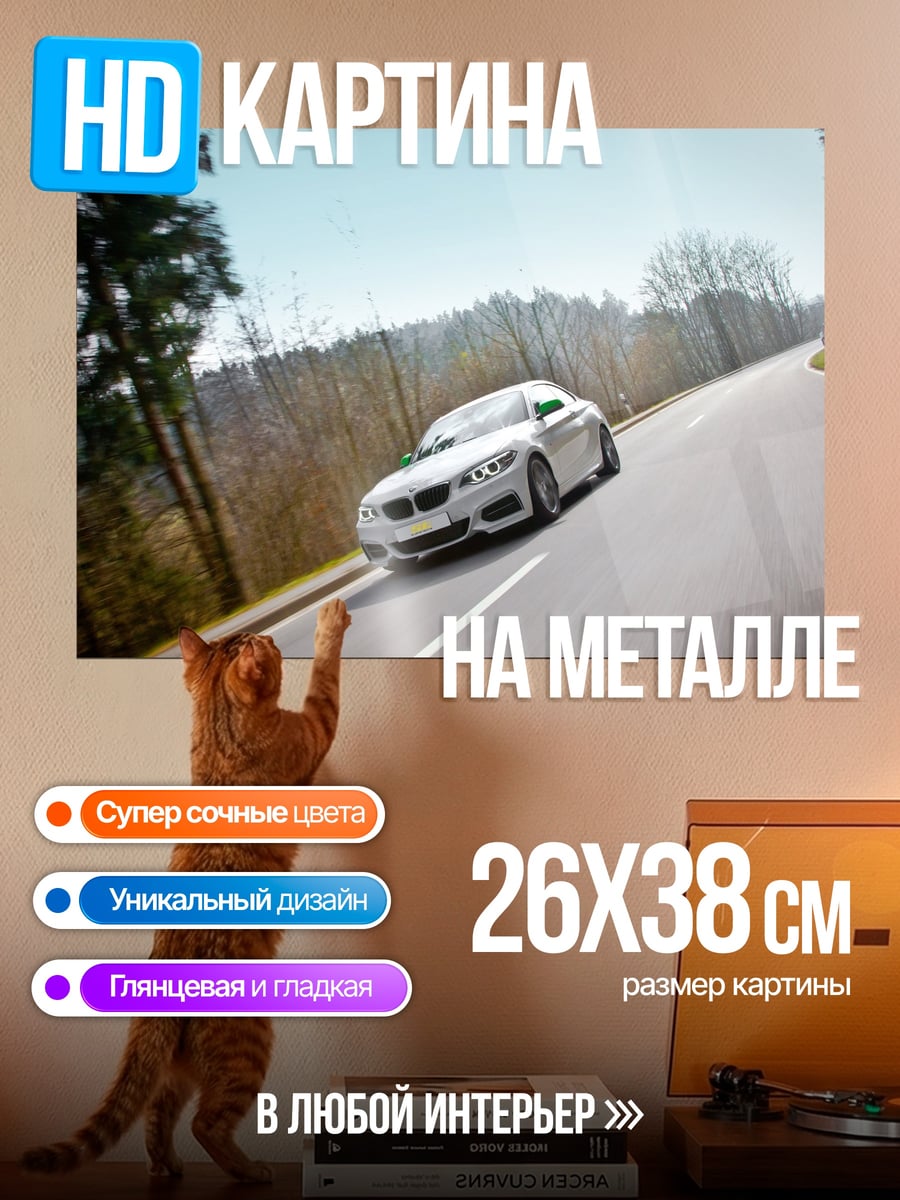 Картина на металле Спортивный автомобиль на дороге