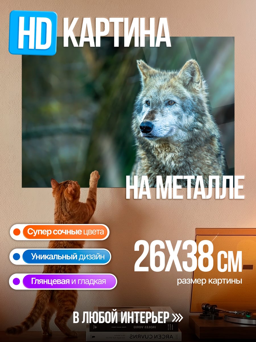 Картина на металле Портрет волка