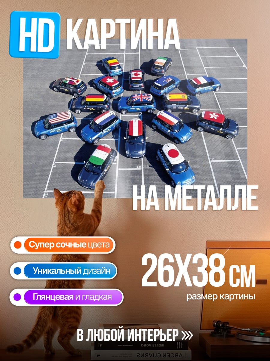 Картина на металле Машинки с флагами мира