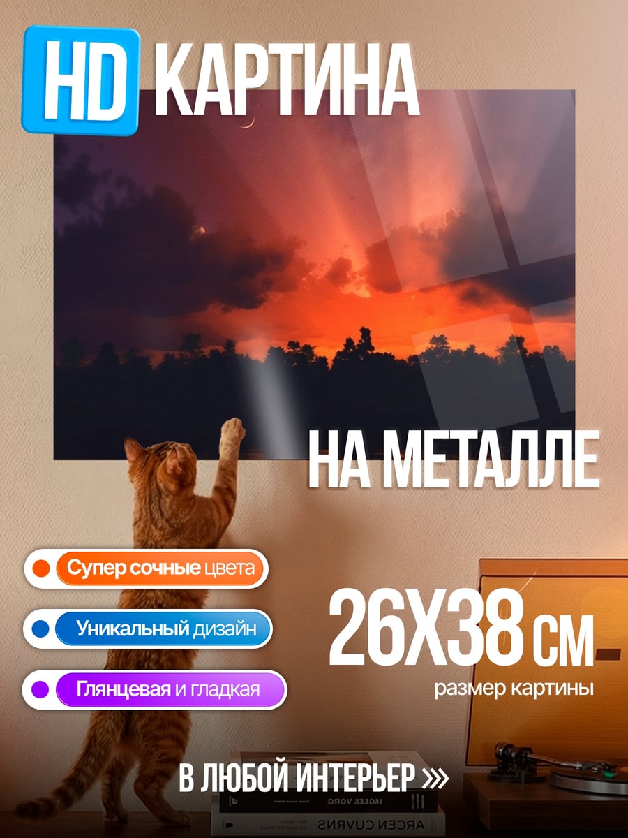 Картина на металле Закат над лесом