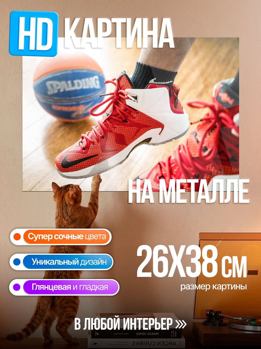 Картина на металле Баскетбольные кроссовки Spalding
