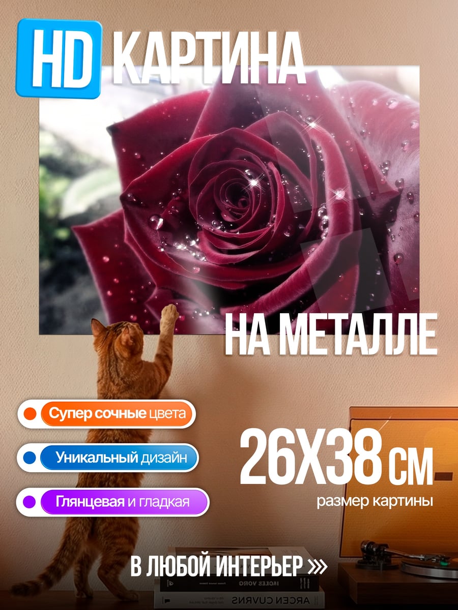 Картина на металле Красная роза с каплями