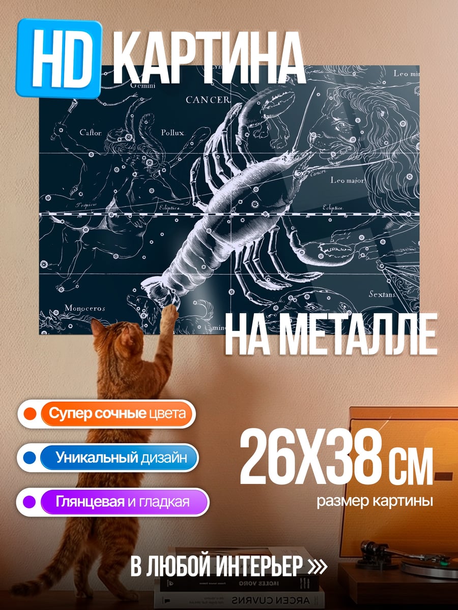 Картина на металле Звездный рак