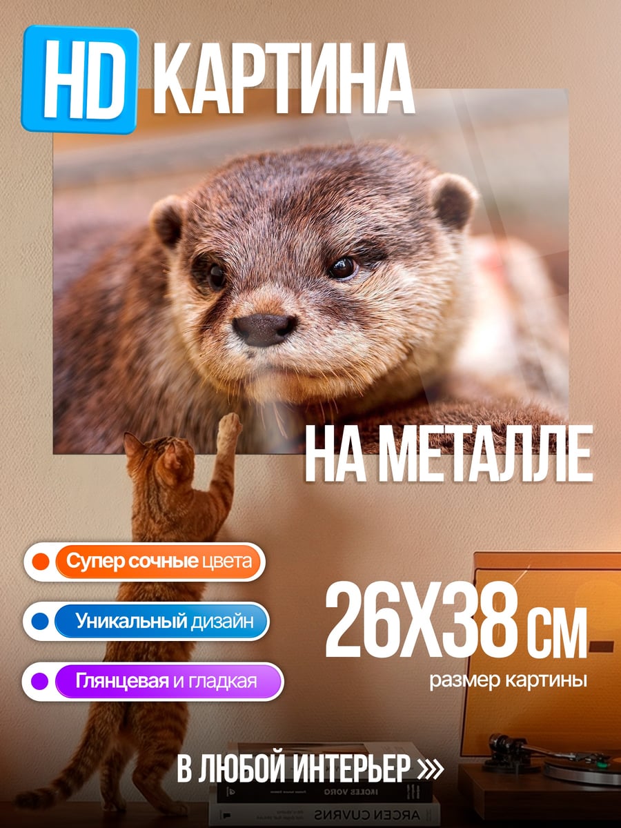 Картина на металле Милая выдра крупным планом