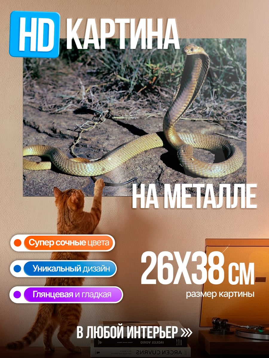 Картина на металле Кобра на камнях