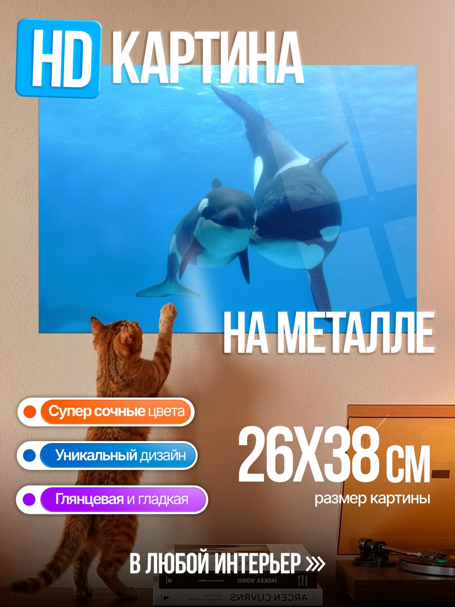 Картина на металле Косатки в океане