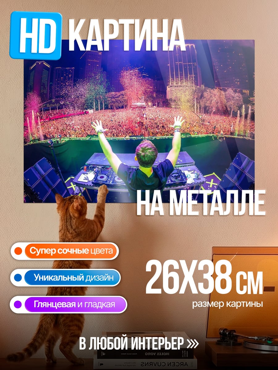 Картина на металле Диджей на фестивале