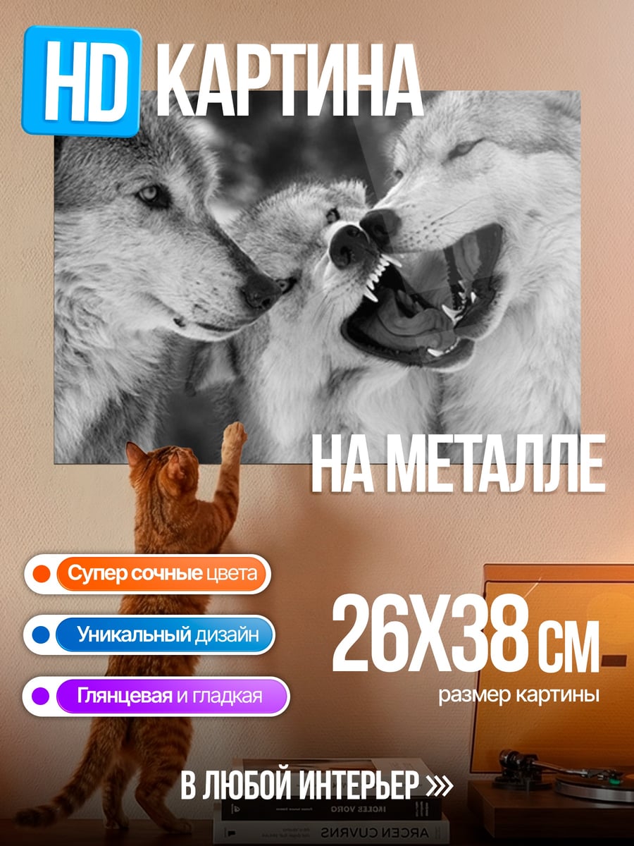 Картина на металле Волки в схватке