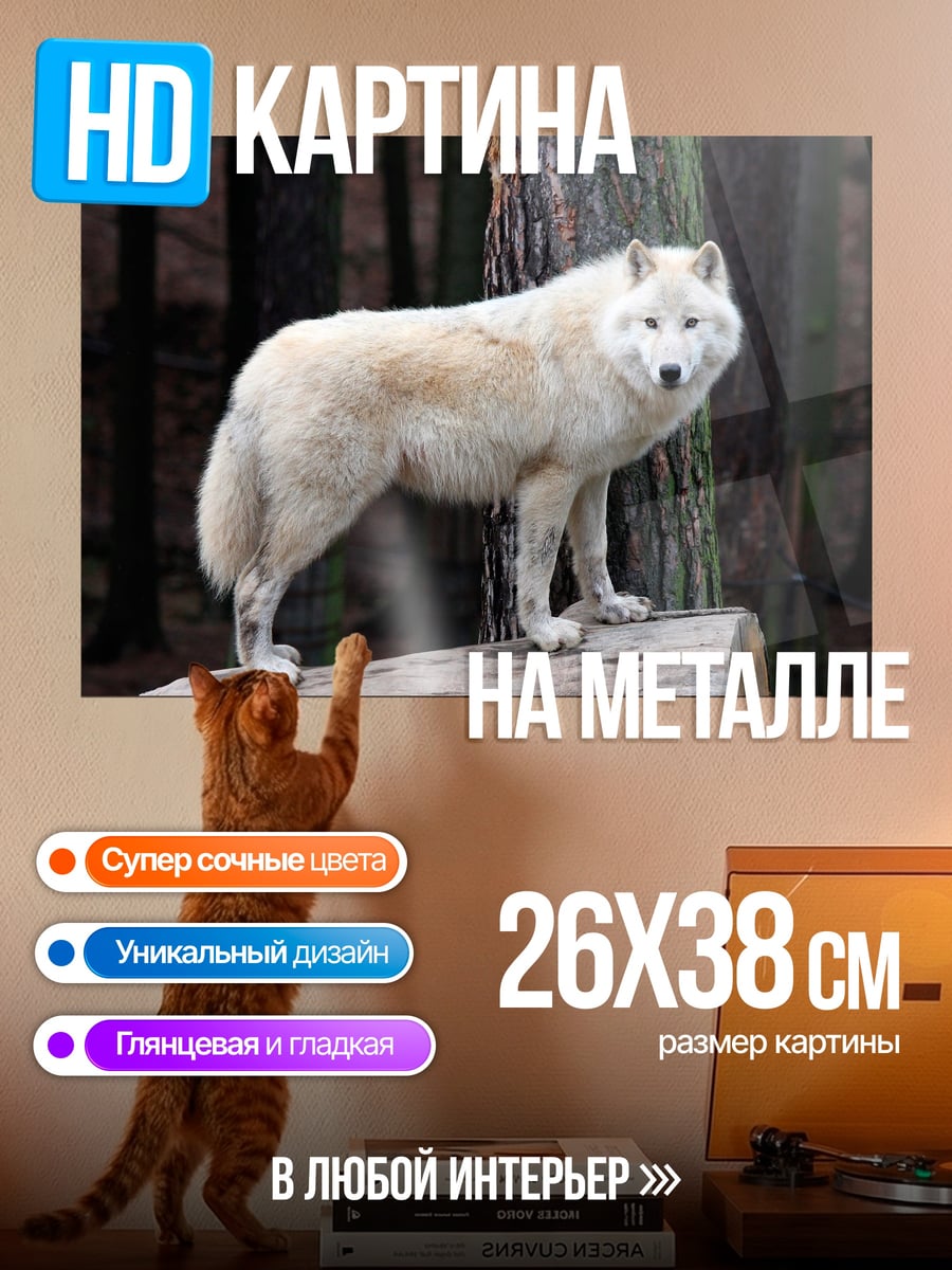 Картина на металле Белый волк
