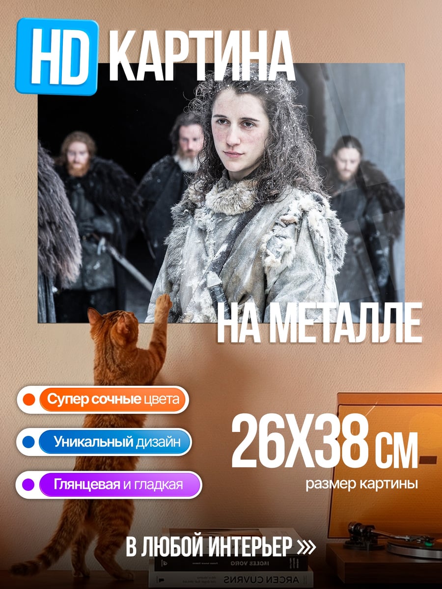 Картина на металле Воительница Севера
