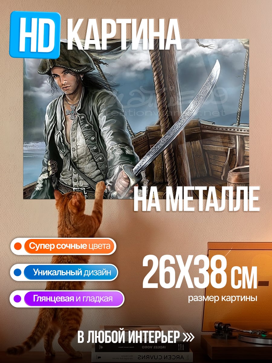 Картина на металле Юный пират