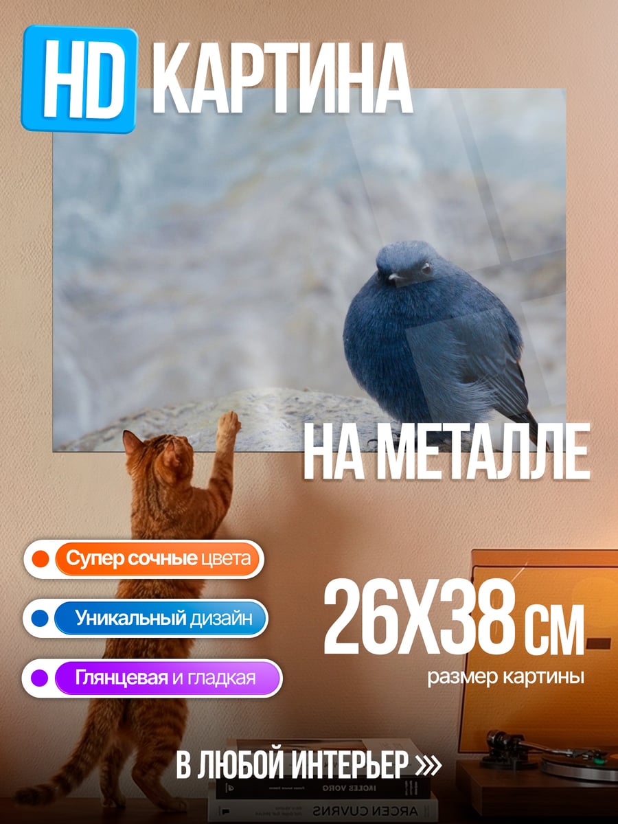 Картина на металле синяя птица