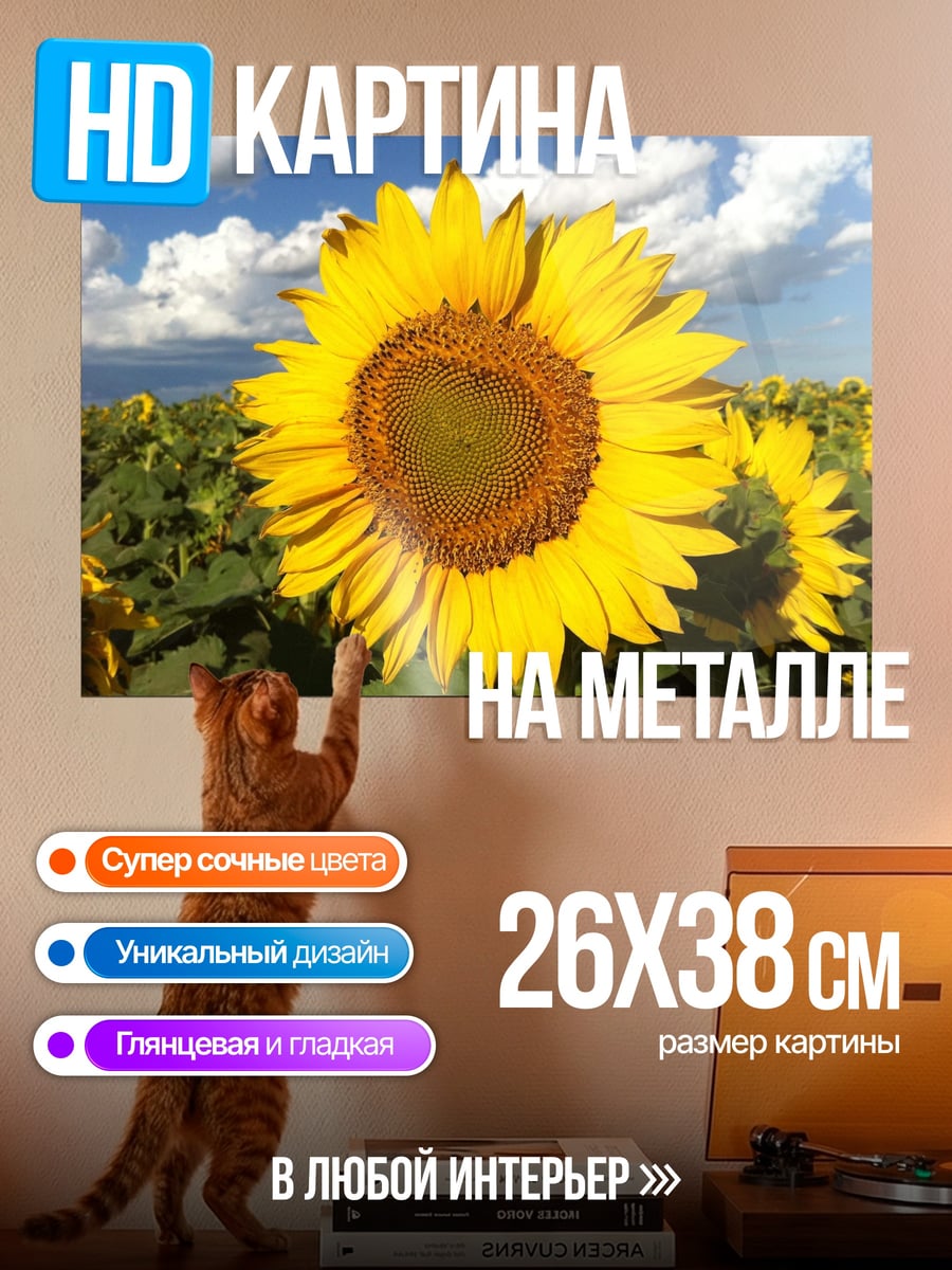 Картина на металле Поле подсолнухов