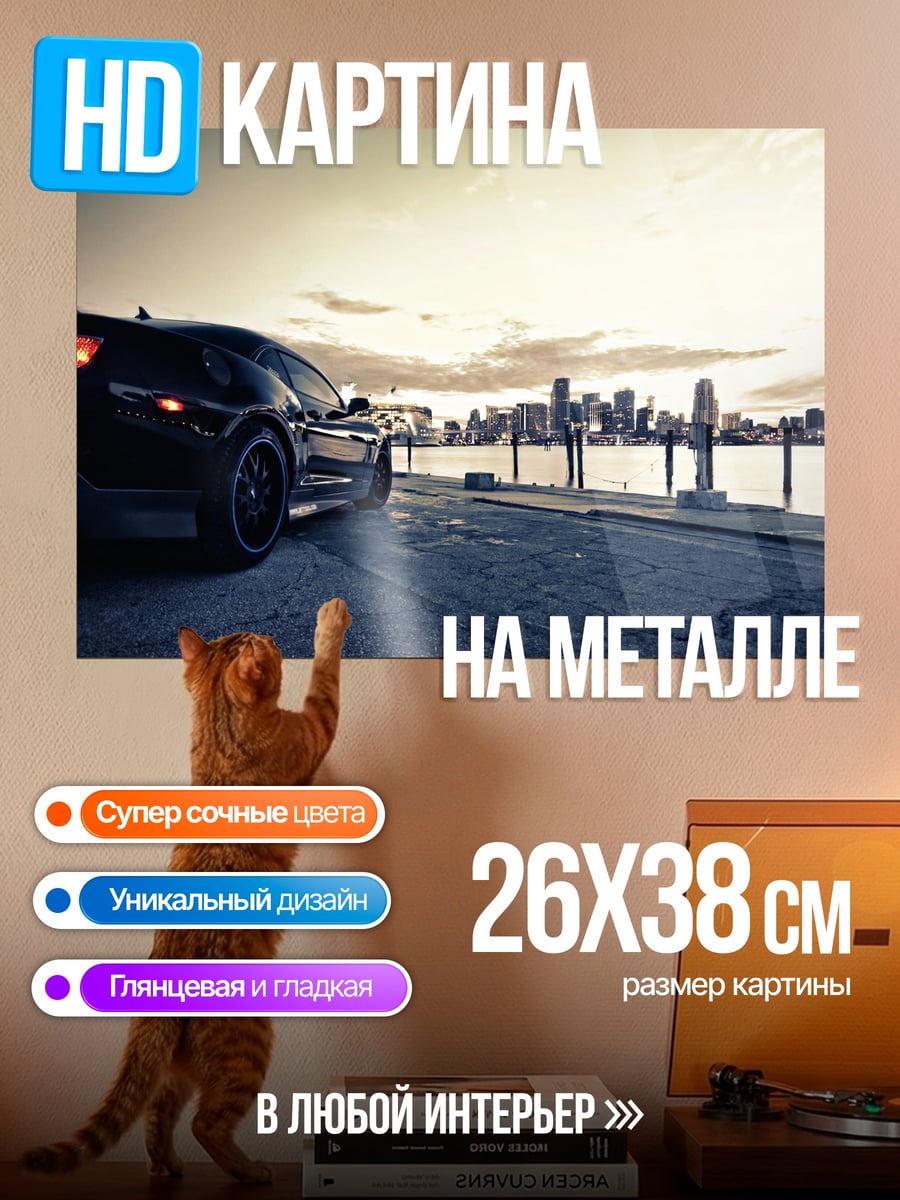 Картина на металле Черный спорткар