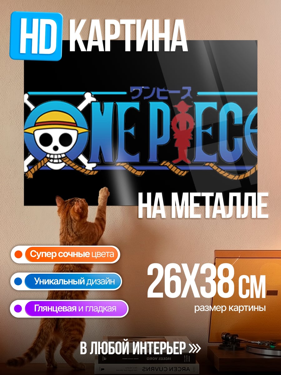 Картина на металле Логотип One Piece