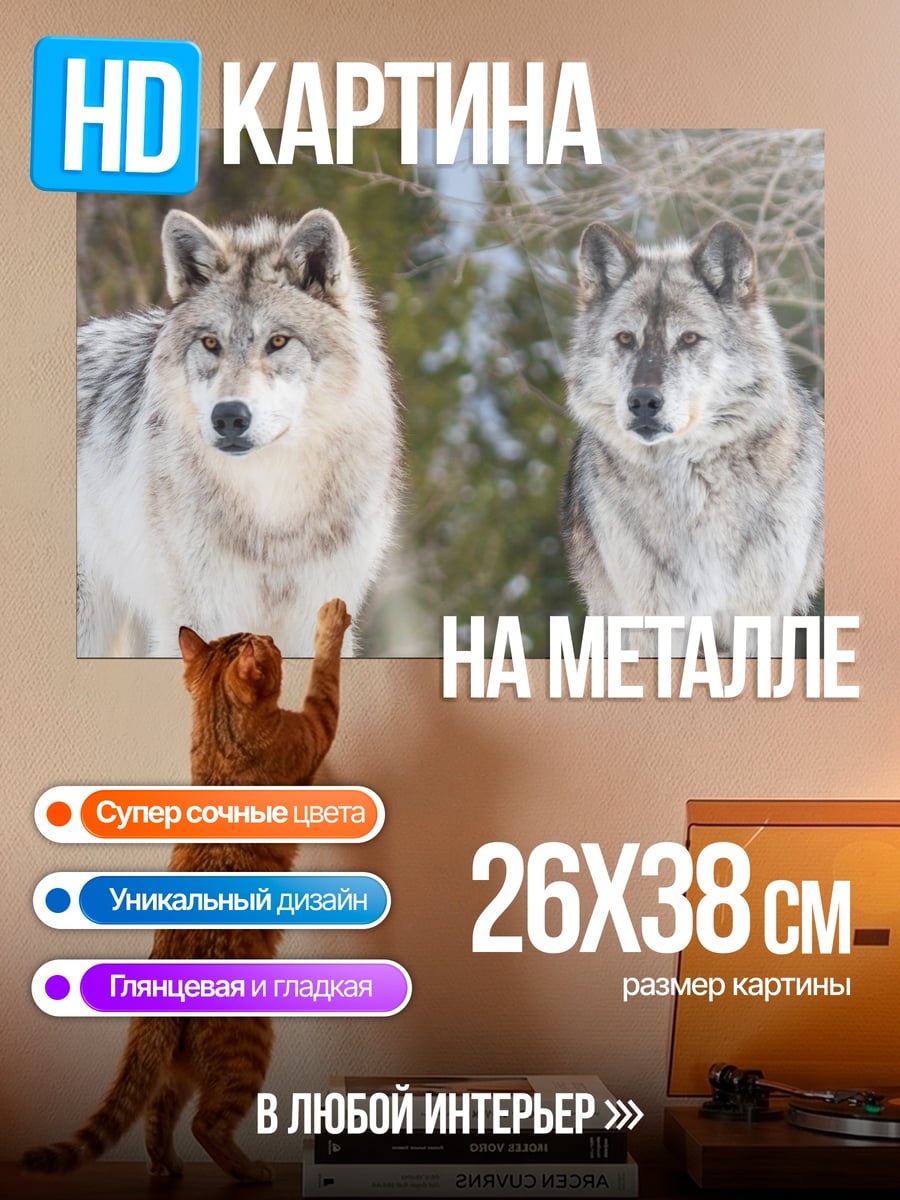 Картина на металле Два волка зимой