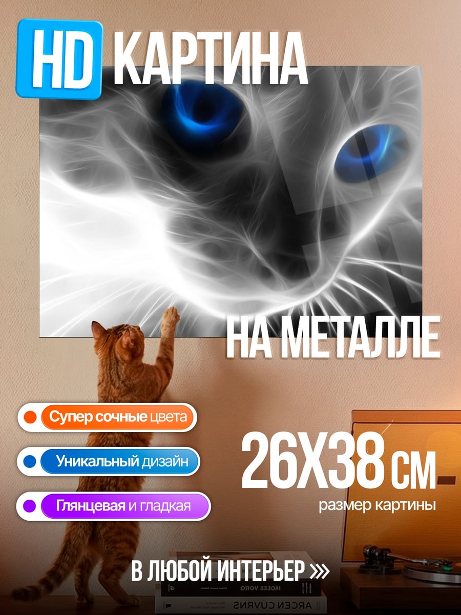 Картина на металле Синие глаза кошки