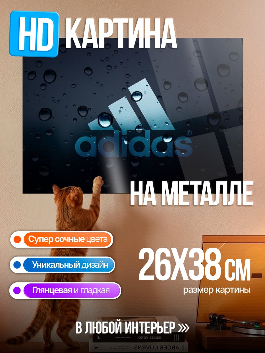 Картина на металле Логотип Adidas дождь