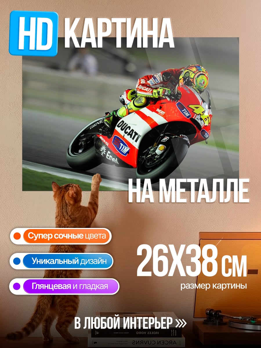 Картина на металле Гонщик Ducati