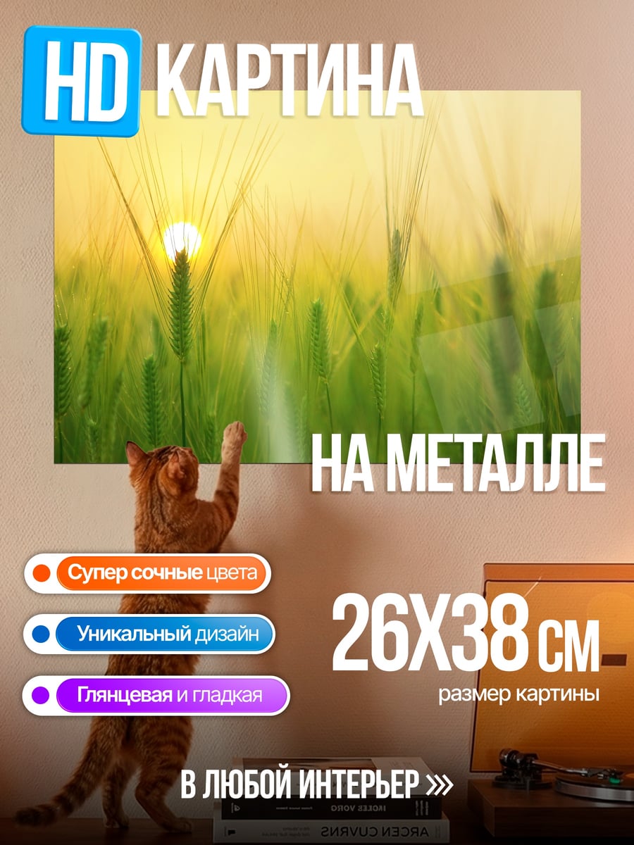 Картина на металле Колоски на закате