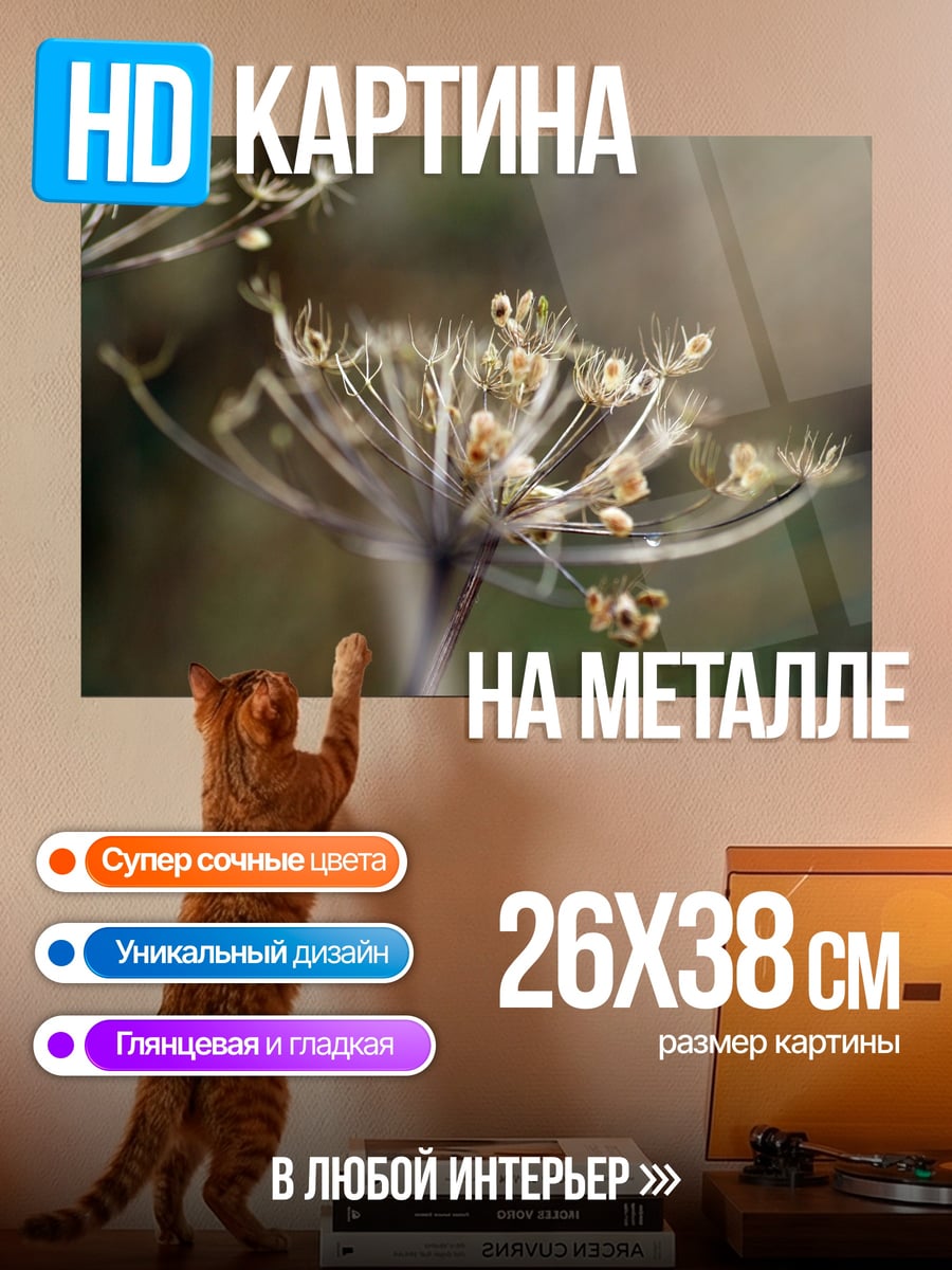 Картина на металле Сухие зонтичные цветы