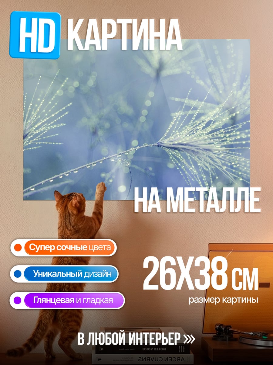 Картина на металле Роса на траве