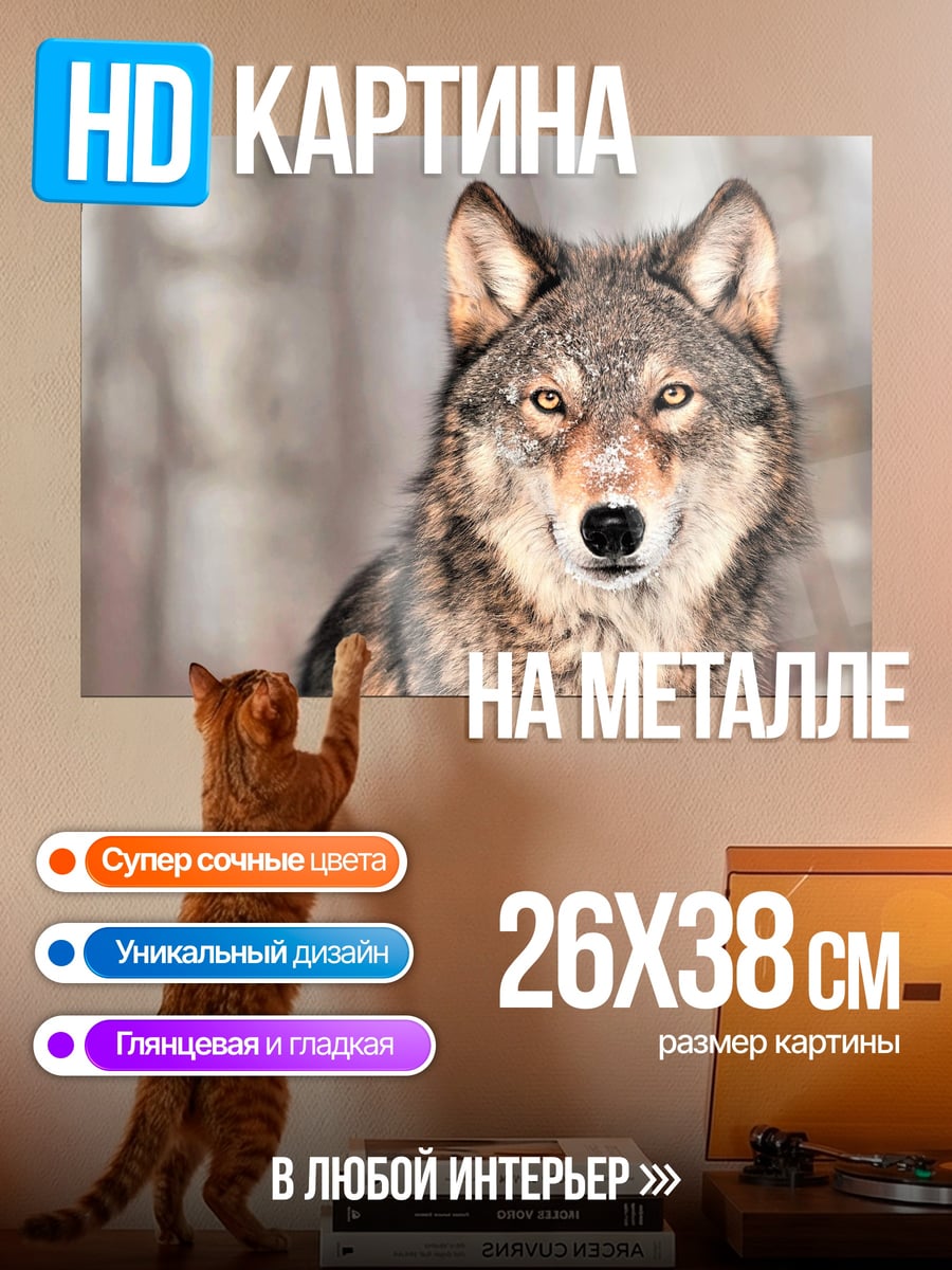 Картина на металле Портрет волка