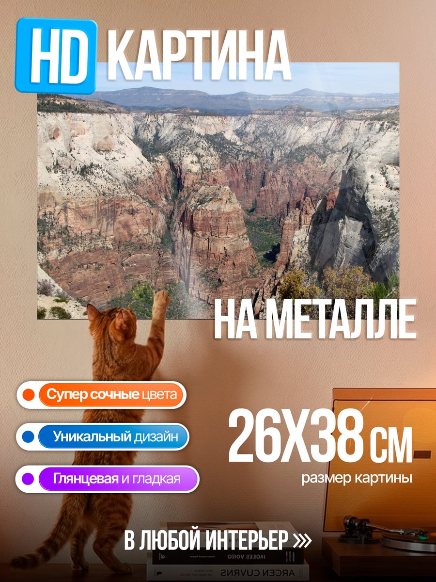 Картина на металле каньон