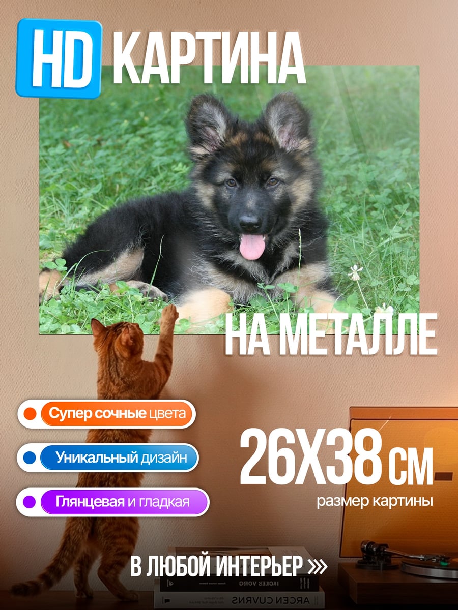 Картина на металле щенок немецкой овчарки