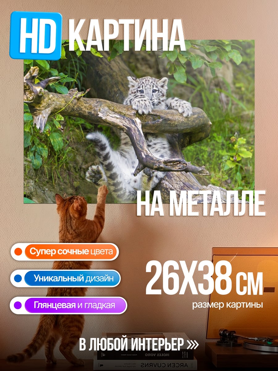 Картина на металле снежный барс
