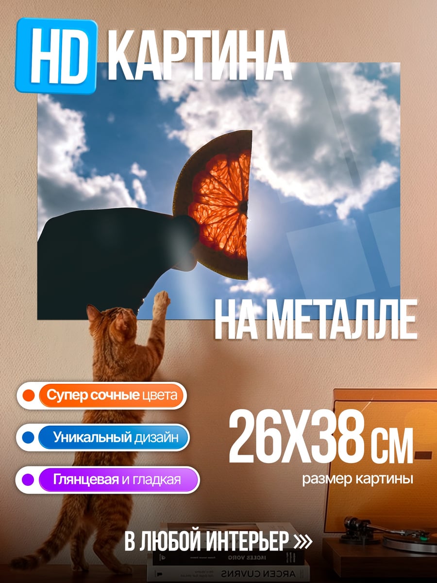 Картина на металле Цитрус на солнце