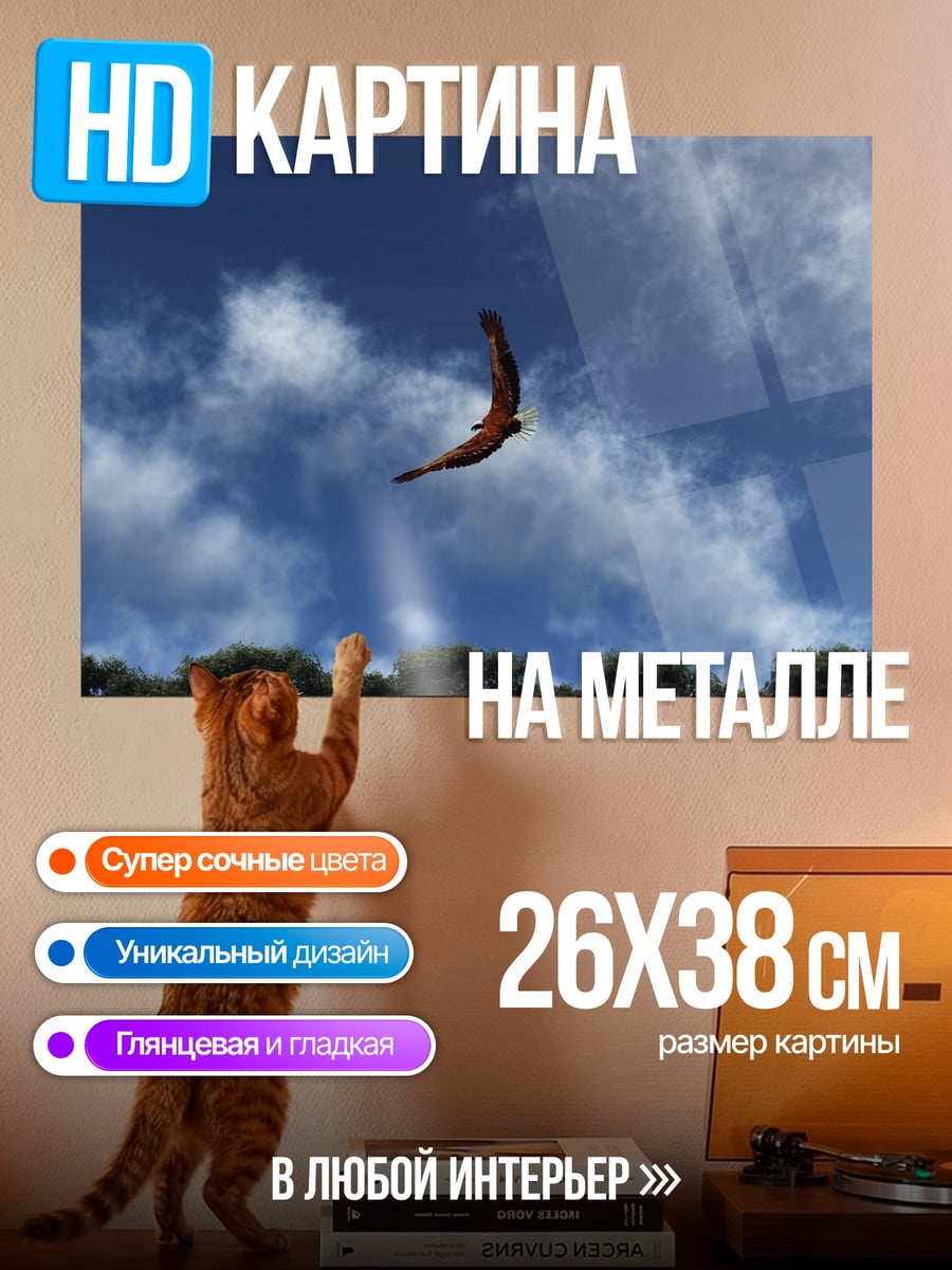 Картина на металле Орел в небе