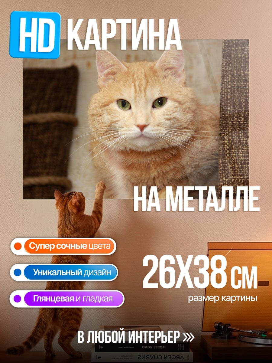 Картина на металле Рыжий кот