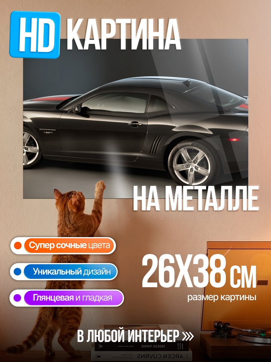 Картина на металле Спортивное купе
