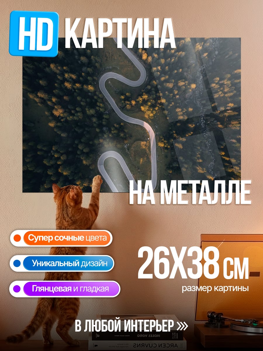 Картина на металле Горная дорога