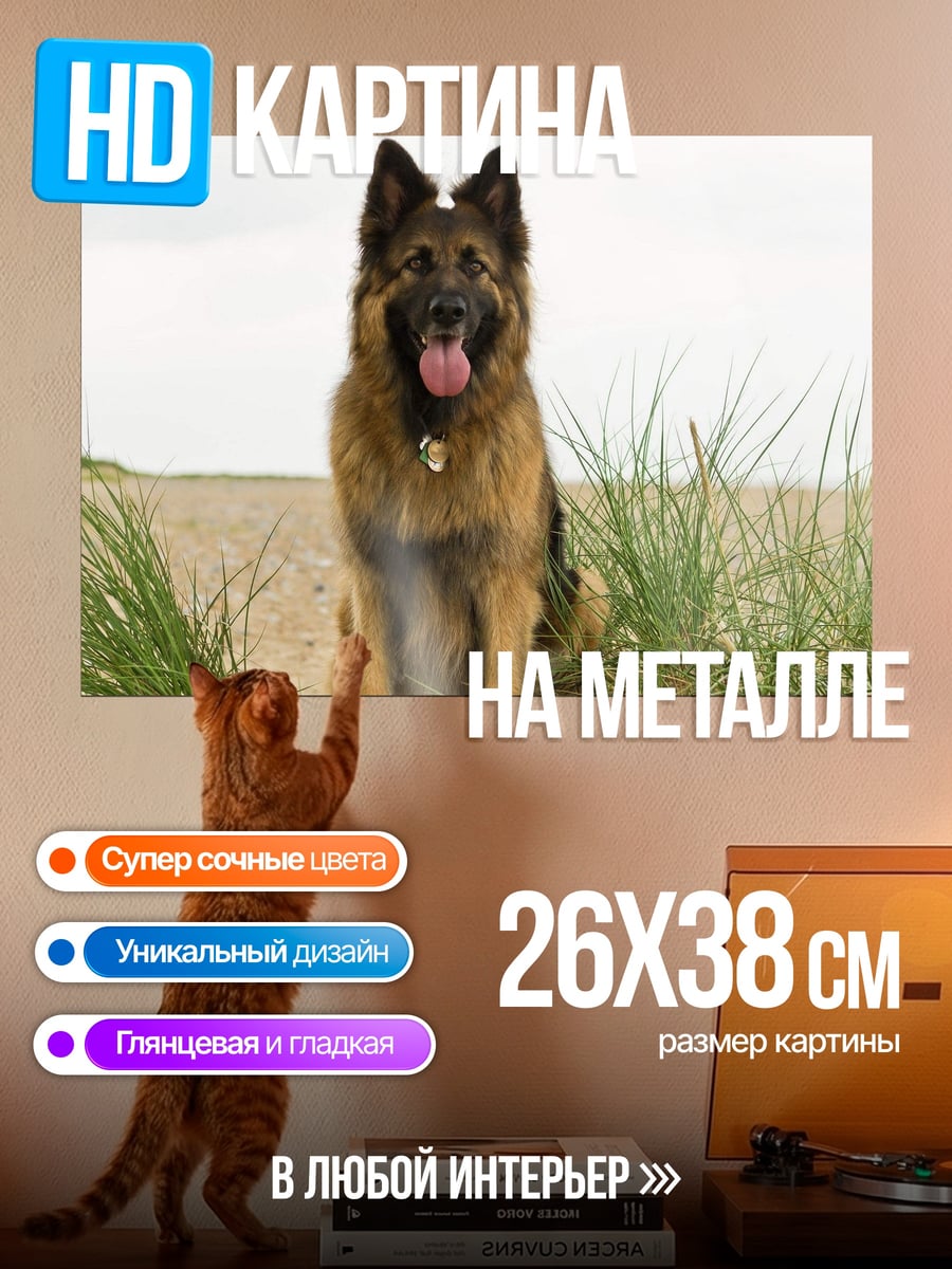 Картина на металле Немецкая овчарка на пляже