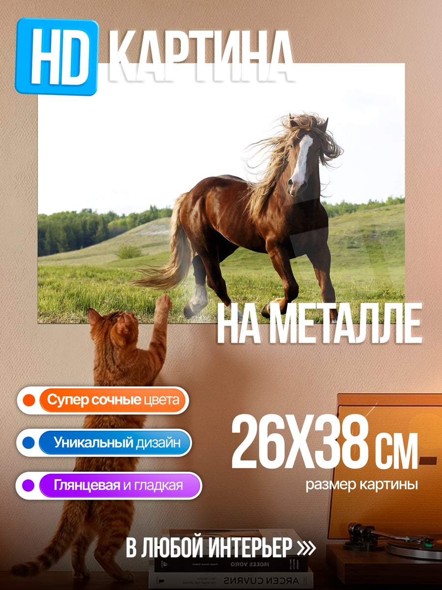 Картина на металле Рыжий конь поле