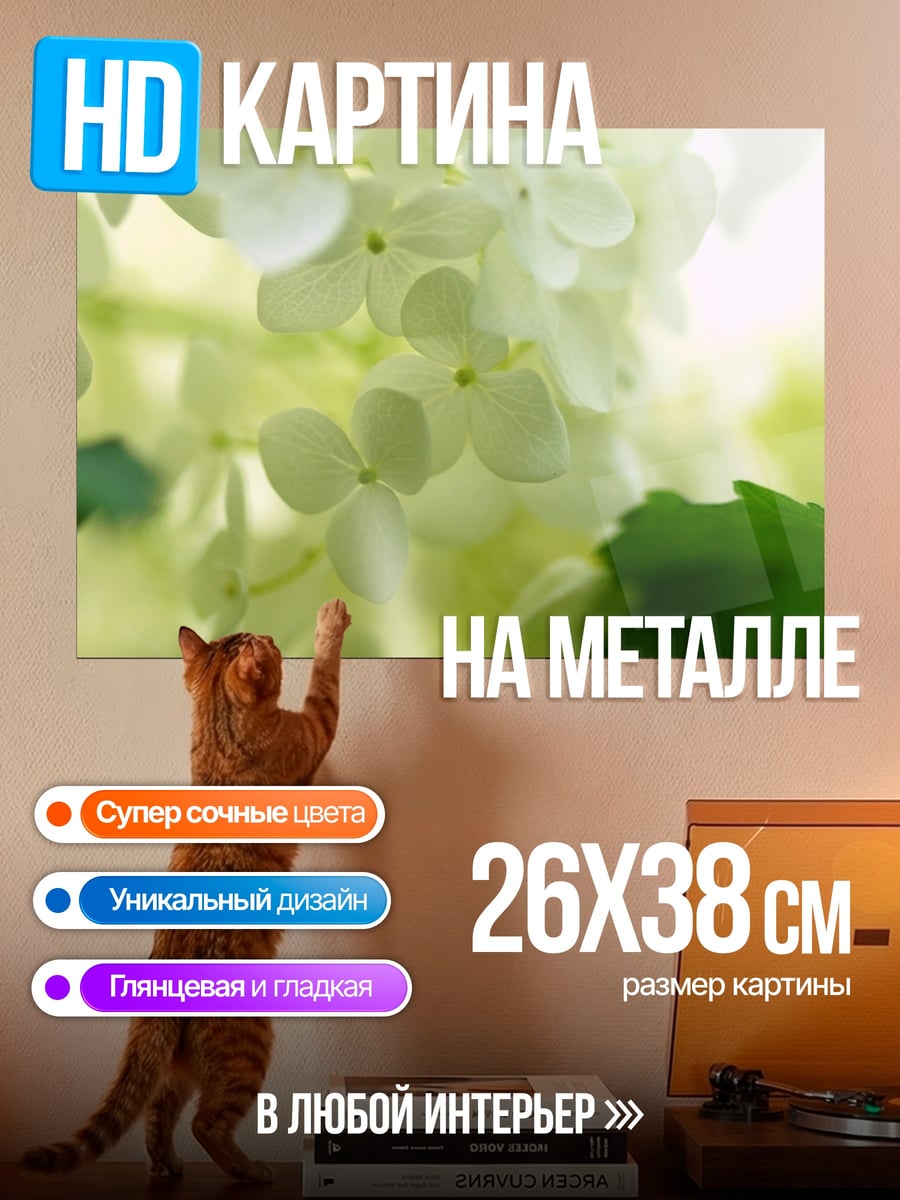Картина на металле Белые цветы крупным планом