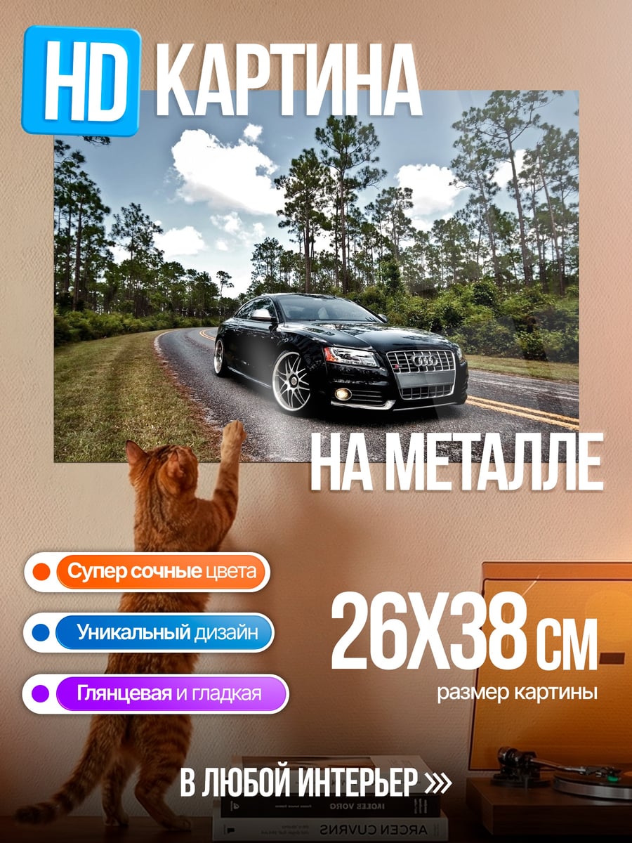 Картина на металле Черный автомобиль дорога