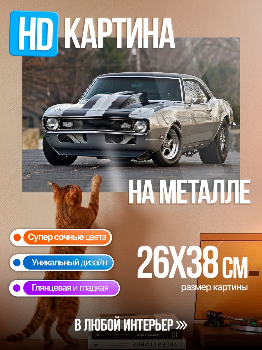 Картина на металле Серебристый маслкар Chevrolet