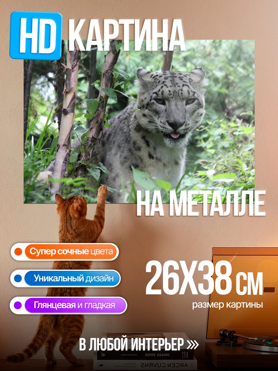Картина на металле Снежный барс в зарослях