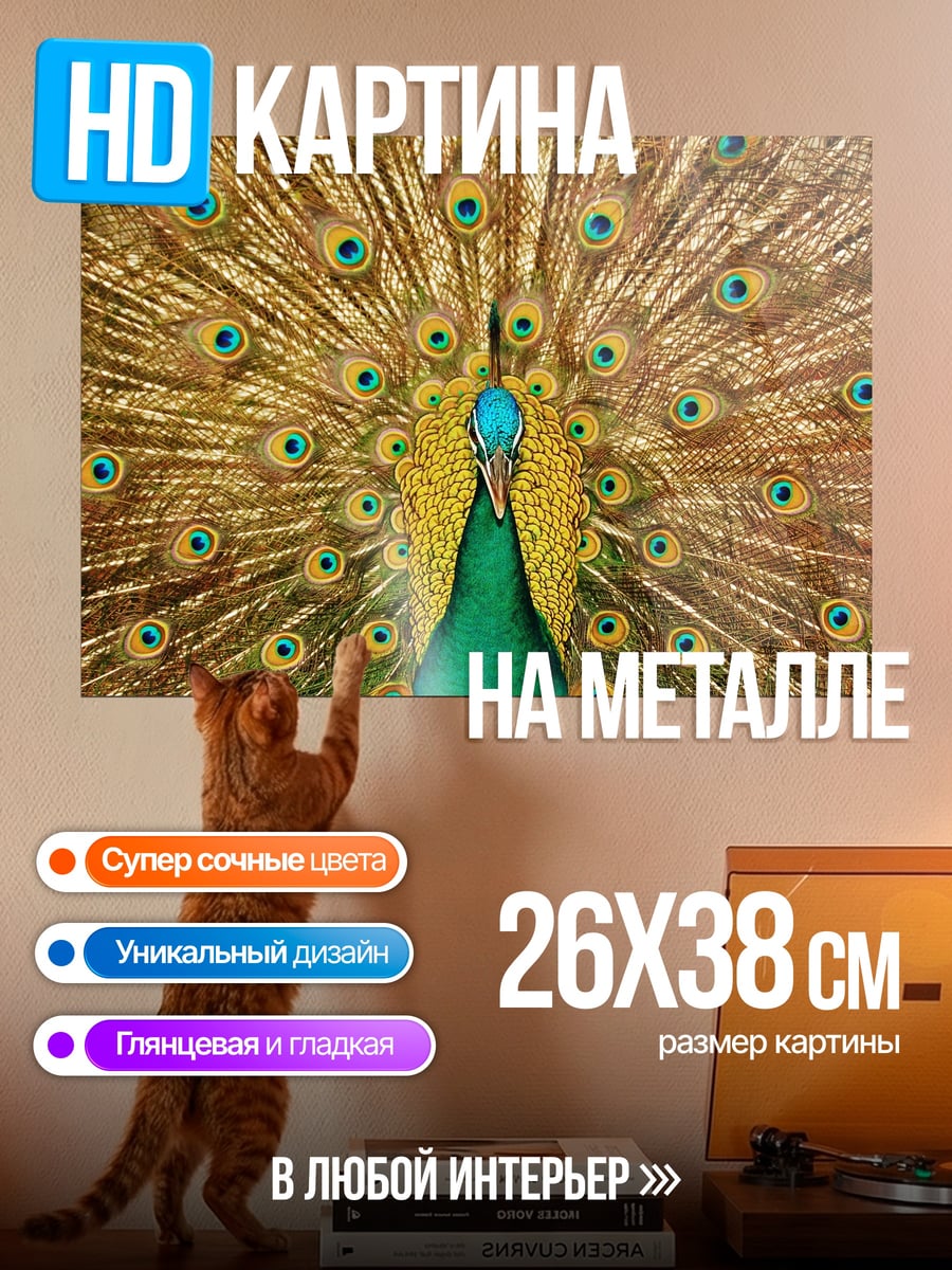 Картина на металле Павлин раскрыл хвост