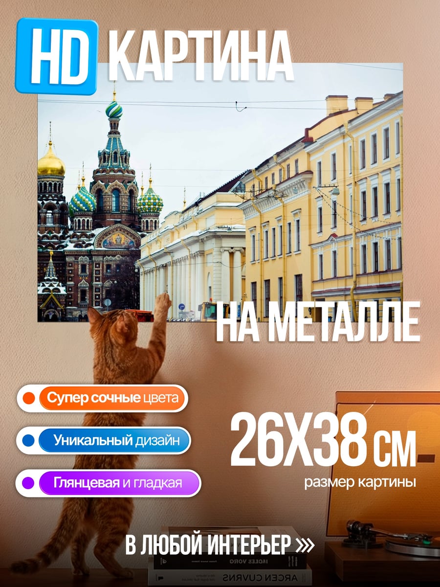 Картина на металле Зимний Петербург