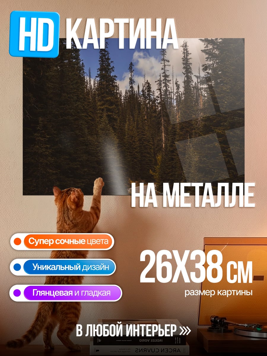 Картина на металле Лесная дорога