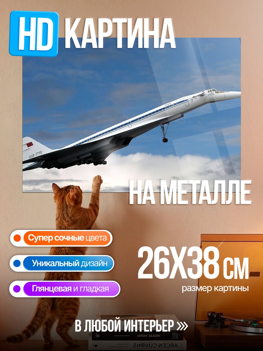 Картина на металле Конкорд в небе